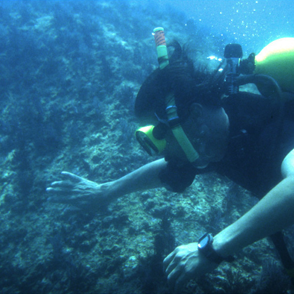 Buceo en Acapulco